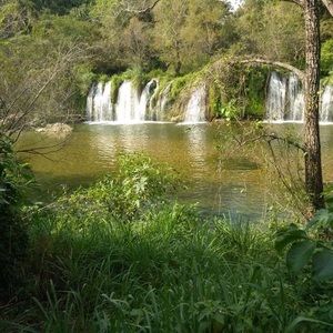 Meet your Posher, Carlos